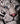 Edge Sculpture - WHITE TIGER Bust