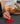 Set 2 Bicchieri SplitGlass Champagne Cup
