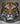 Edge Sculpture - TIGER Bust