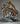 Edge Sculpture - TIGER Bust
