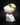 Snoopy Aviator White Big – Statuina in Resina