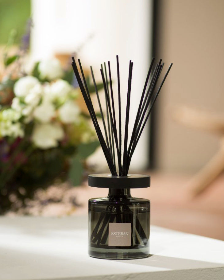 ELLIPSE BOUQUET Teck e Tonka - Diffusore con bastoncini