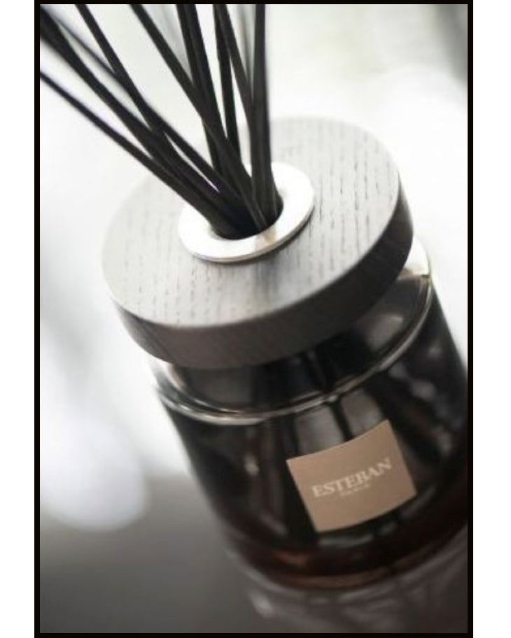 ELLIPSE BOUQUET Teck e Tonka - Diffusore con bastoncini